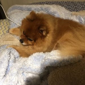 Executive Director of sales in Dark Girl merch.